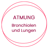Atmung