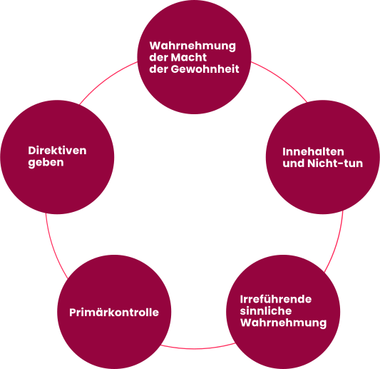 Die fünf Prinzipien