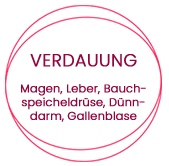 Verdauung